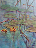 Water Lily Reflections