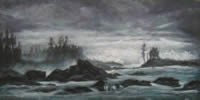 Wild Pacific Coast
