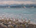 Herring Season Parksville
