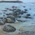 Rocky Shores